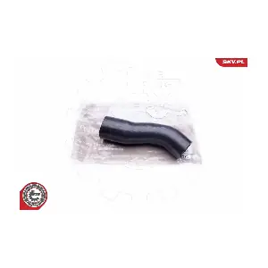 24SKV895 ESEN SKV