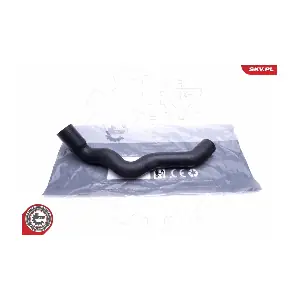 24SKV295 ESEN SKV