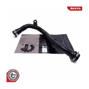 54SKV218 ESEN SKV