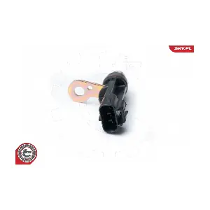 17SKV319 ESEN SKV
