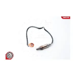 09SKV087 ESEN SKV