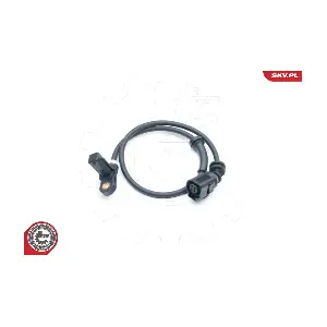 06SKV275 ESEN SKV