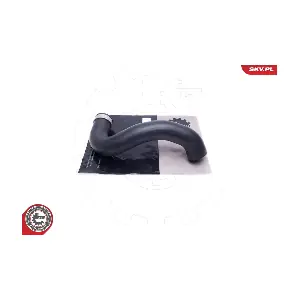 24SKV738 ESEN SKV