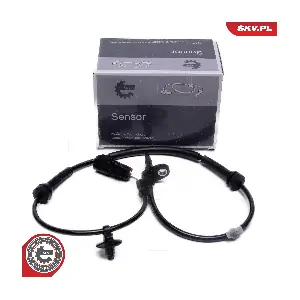 06SKV484 ESEN SKV