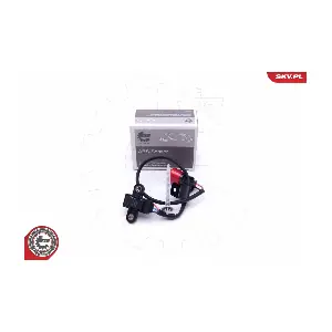 17SKV541 ESEN SKV