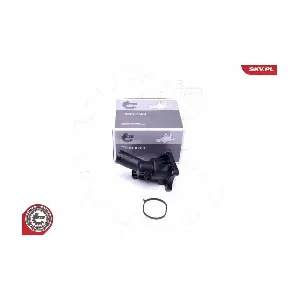20SKV086 ESEN SKV