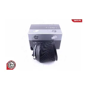 58SKV005 ESEN SKV