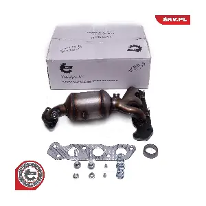 62SKV018 ESEN SKV