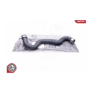 24SKV291 ESEN SKV