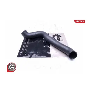 43SKV202 ESEN SKV