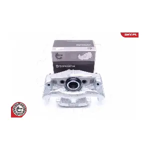 46SKV161 ESEN SKV