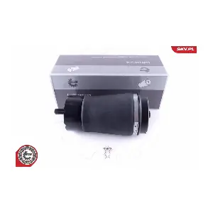 58SKV013 ESEN SKV