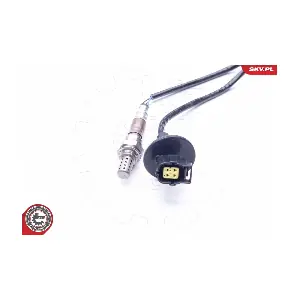 09SKV718 ESEN SKV