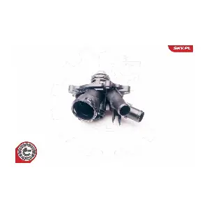 20SKV077 ESEN SKV
