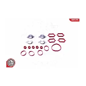 96SKV053 ESEN SKV