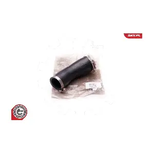24SKV182 ESEN SKV