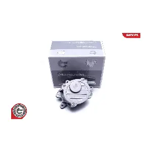 18SKV052 ESEN SKV