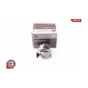 10SKV239 ESEN SKV