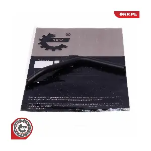 10SKV814 ESEN SKV