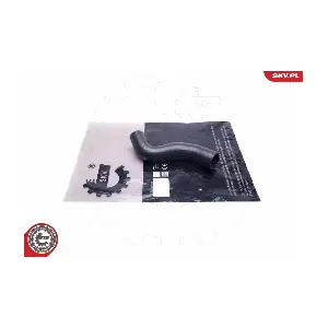 43SKV829 ESEN SKV