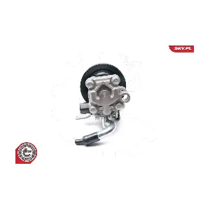 10SKV202 ESEN SKV