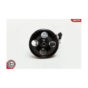 10SKV009 ESEN SKV