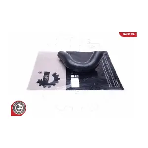 43SKV939 ESEN SKV