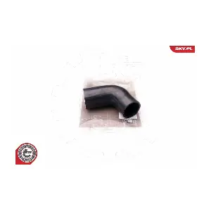 24SKV138 ESEN SKV