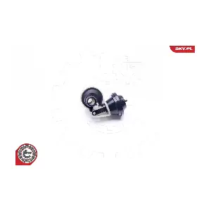 31SKV094 ESEN SKV