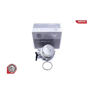 18SKV059 ESEN SKV
