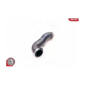 24SKV189 ESEN SKV