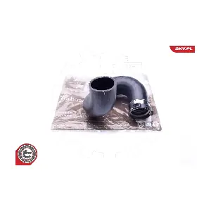 24SKV891 ESEN SKV