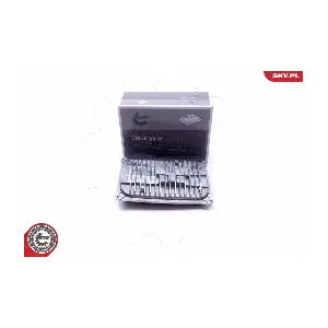 59SKV053 ESEN SKV