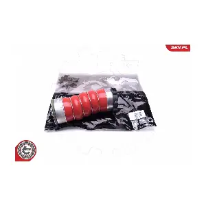 43SKV219 ESEN SKV