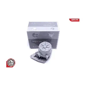 18SKV062 ESEN SKV