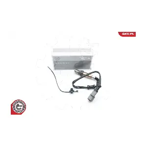 ESEN SKV 09SKV647