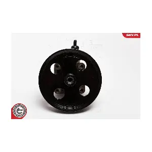 10SKV092 ESEN SKV