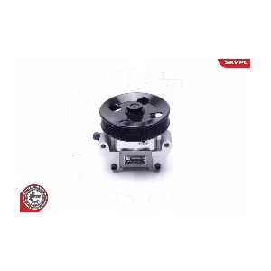 10SKV306 ESEN SKV