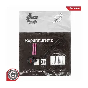 53SKV252 ESEN SKV