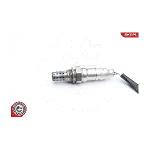 09SKV568 ESEN SKV