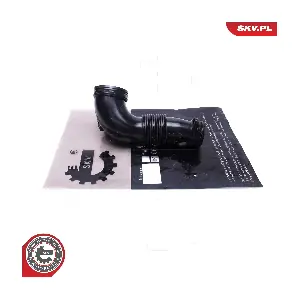 24SKV496 ESEN SKV