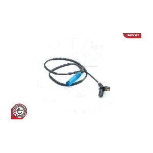06SKV314 ESEN SKV