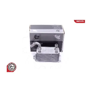 31SKV228 ESEN SKV