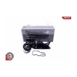 20SKV603 ESEN SKV