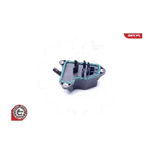 31SKV061 ESEN SKV