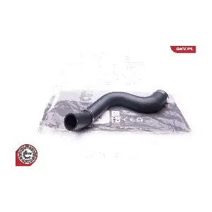 24SKV667 ESEN SKV