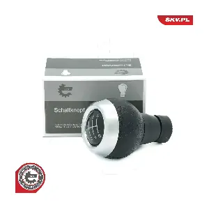 63SKV069 ESEN SKV