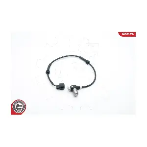 06SKV339 ESEN SKV