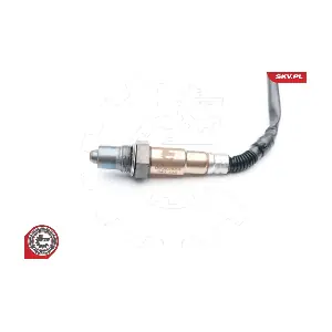 ESEN SKV 09SKV684