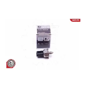 17SKV597 ESEN SKV
